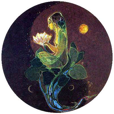lotus