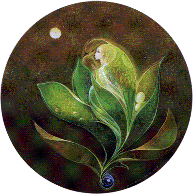 moonflower