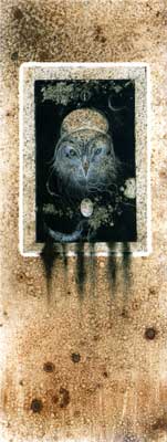 owl