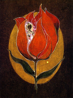 fromthetulip