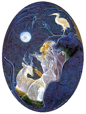 moonlight